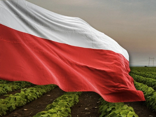 świąteczne prezenty, zabawki marki Bruder